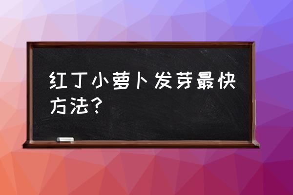 正宗萝卜籽种植方法 红丁小萝卜发芽最快方法？