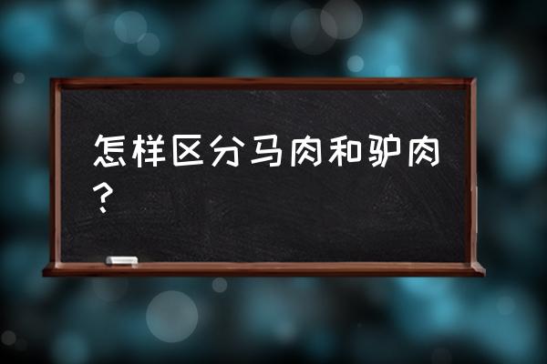 马和骡子怎么分别分辨 怎样区分马肉和驴肉？