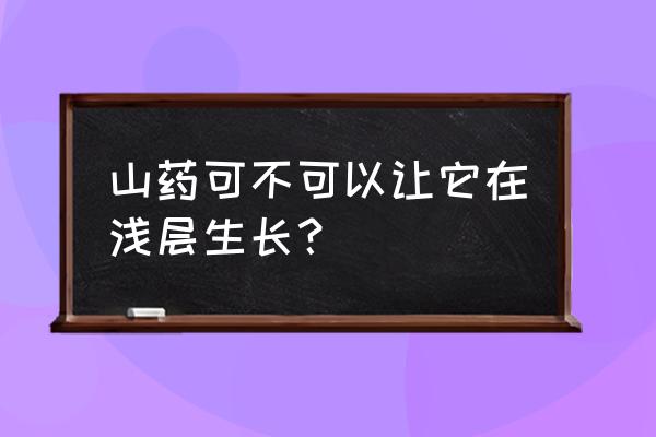 山药木糠杯怎么吃 山药可不可以让它在浅层生长？