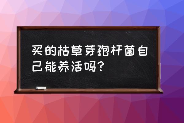 枯草芽孢杆菌培养教程 买的枯草芽孢杆菌自己能养活吗？