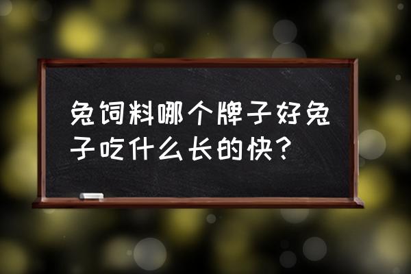 肉兔子怎么养长得快 兔饲料哪个牌子好兔子吃什么长的快？