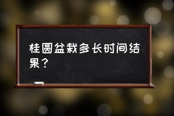 桂圆种子种盆栽 桂圆盆栽多长时间结果？