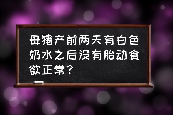 母猪皮肤发白不吃料怎么回事 母猪产前两天有白色奶水之后没有胎动食欲正常？