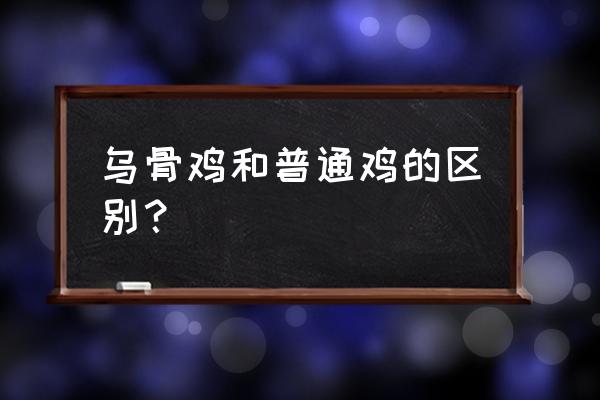 乌骨鸡白色和黑色哪种好 乌骨鸡和普通鸡的区别？