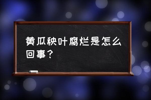 黄瓜根腐病枯萎病防治 黄瓜秧叶腐烂是怎么回事？