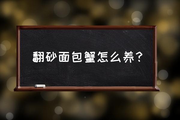 幼蟹的养殖与管理技术方法 翻砂面包蟹怎么养？