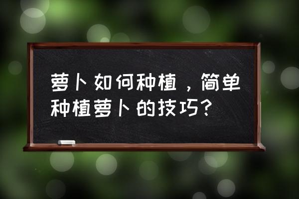 胡萝卜种植步骤 萝卜如何种植，简单种植萝卜的技巧？