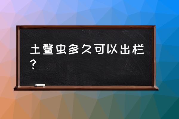 土元孵化后没有大量出虫 土鳖虫多久可以出栏？