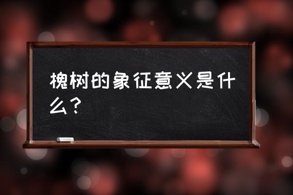 槐树有什么用处 槐树的象征意义是什么？