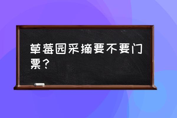 开一个草莓采摘园需要投入多少钱 草莓园采摘要不要门票？