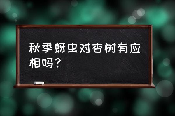 杏树卷叶干边是怎么了 秋季蚜虫对杏树有应相吗？