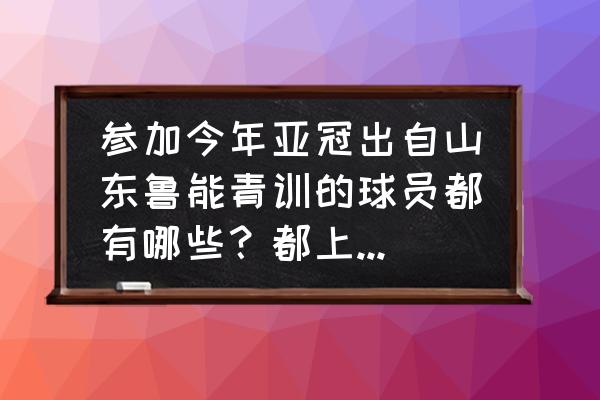 天津权健足球队完全名单 参加今年亚冠出自山东鲁能青训的球员都有哪些？都上场了吗？