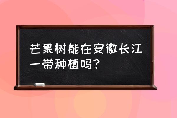 芒果要怎么处理才不会裂开 芒果树能在安徽长江一带种植吗？