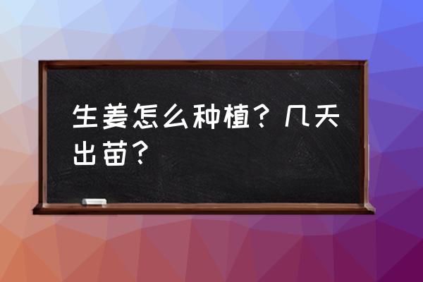 批发耐寒芦苇苗一般多少钱 生姜怎么种植？几天出苗？