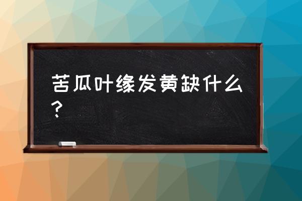 苦瓜稍微发黄的能晒干吗 苦瓜叶缘发黄缺什么？