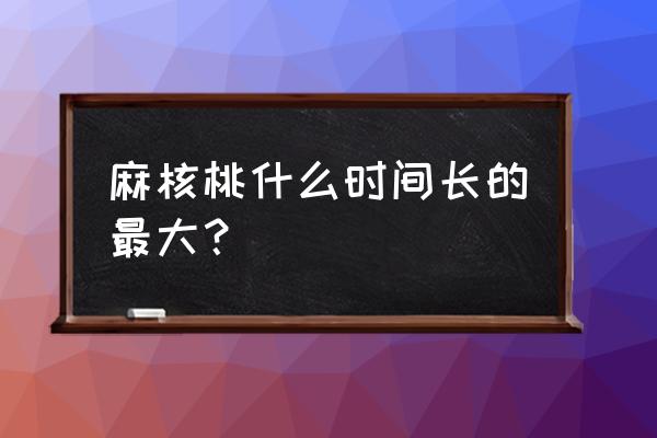 麻核桃种植季节与方法 麻核桃什么时间长的最大？