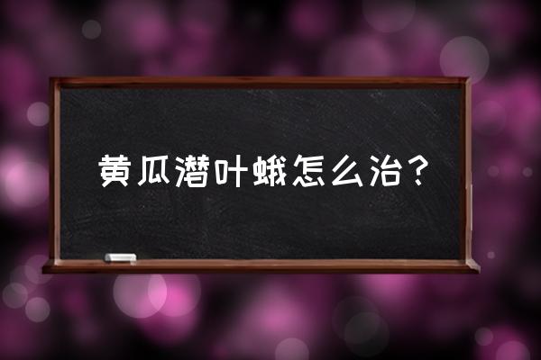 黄瓜最笨最简单的做法 黄瓜潜叶蛾怎么治？