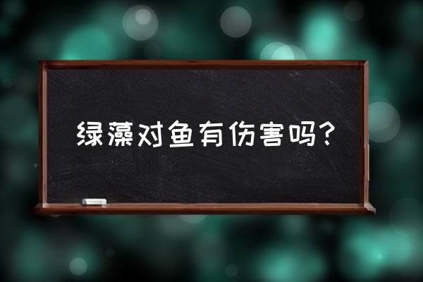 吃绿藻的好处和坏处 绿藻对鱼有伤害吗？