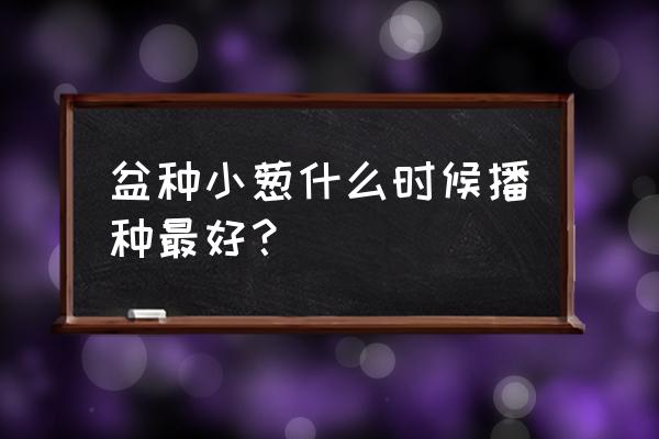 种小葱什么时间种最好 盆种小葱什么时候播种最好？