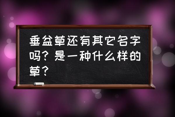 各种中药植物的图片大全 垂盆草还有其它名字吗？是一种什么样的草？