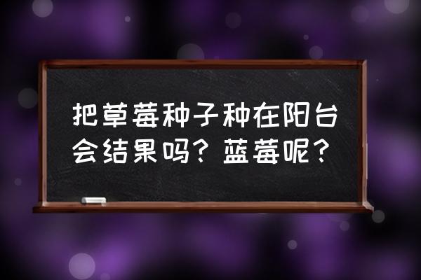 阳台种草莓一年四季能收获吗 把草莓种子种在阳台会结果吗？蓝莓呢？