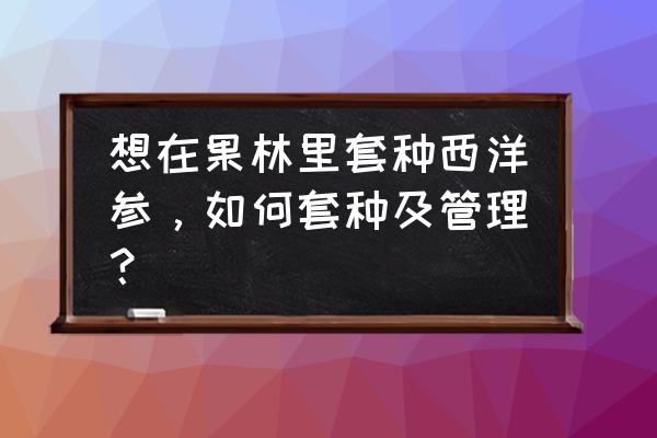 个人西洋参种植方法 想在果林里套种西洋参，如何套种及管理？