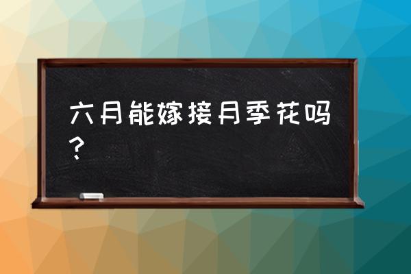 几月是嫁接月季的最佳时期 六月能嫁接月季花吗？