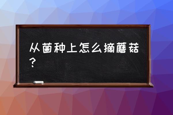 平菇可以挑大的采收吗 从菌种上怎么摘蘑菇？