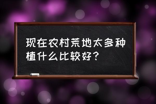 没有种子的土为什么能长草 现在农村荒地太多种植什么比较好？