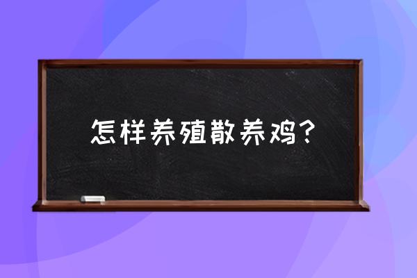 水泥地养鸡要注意什么 怎样养殖散养鸡？