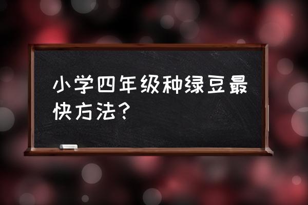 怎么快速种豆芽 小学四年级种绿豆最快方法？