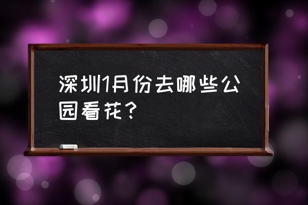 深圳一二月赏花好去处推荐 深圳1月份去哪些公园看花？