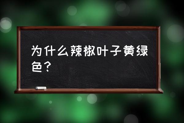 辣椒苗出现黄叶掉叶不生长 为什么辣椒叶子黄绿色？