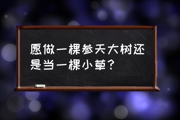 大树下的小草怎么剪手工 愿做一棵参天大树还是当一棵小草？