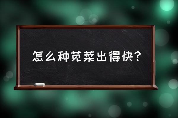 苋菜怎么种在地里是最好的方法 怎么种苋菜出得快？