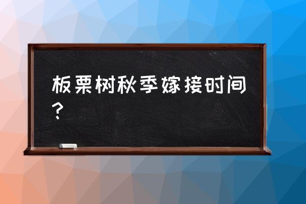 板栗树嫁接第二年怎么管理 板栗树秋季嫁接时间？