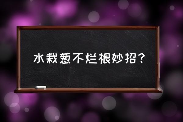 葱的病虫害防治措施 水栽葱不烂根妙招？