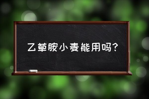 乙草胺的正确用法 乙草胺小麦能用吗？