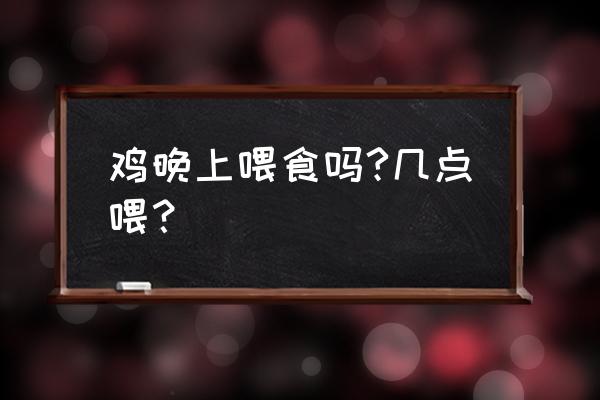 鸡的一天最佳喂食时间 鸡晚上喂食吗?几点喂？