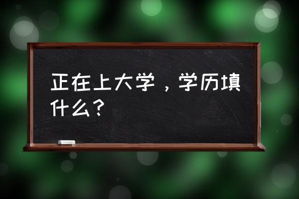 全日制学历及学位应该怎么填 正在上大学，学历填什么？