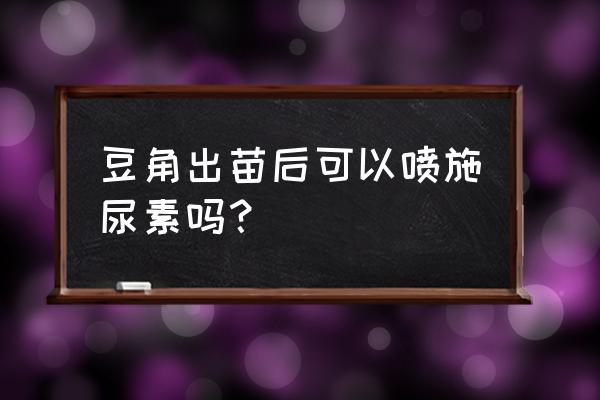 怎样管理刚出土的长豆角 豆角出苗后可以喷施尿素吗？