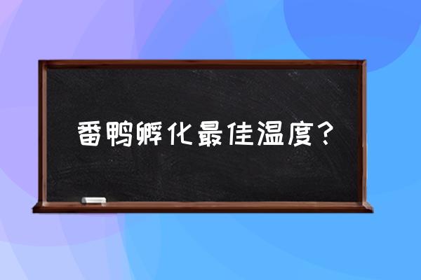 鸭子孵化最后几天温度需要多少度 番鸭孵化最佳温度？