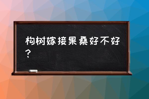 桑树和构树哪个好 构树嫁接果桑好不好？