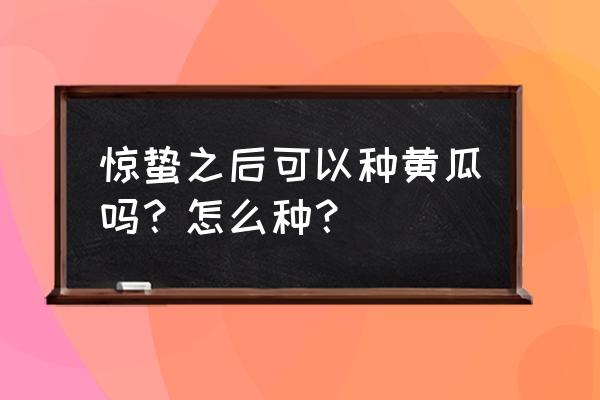 淮北鸡蛋灌土豆做法 惊蛰之后可以种黄瓜吗？怎么种？